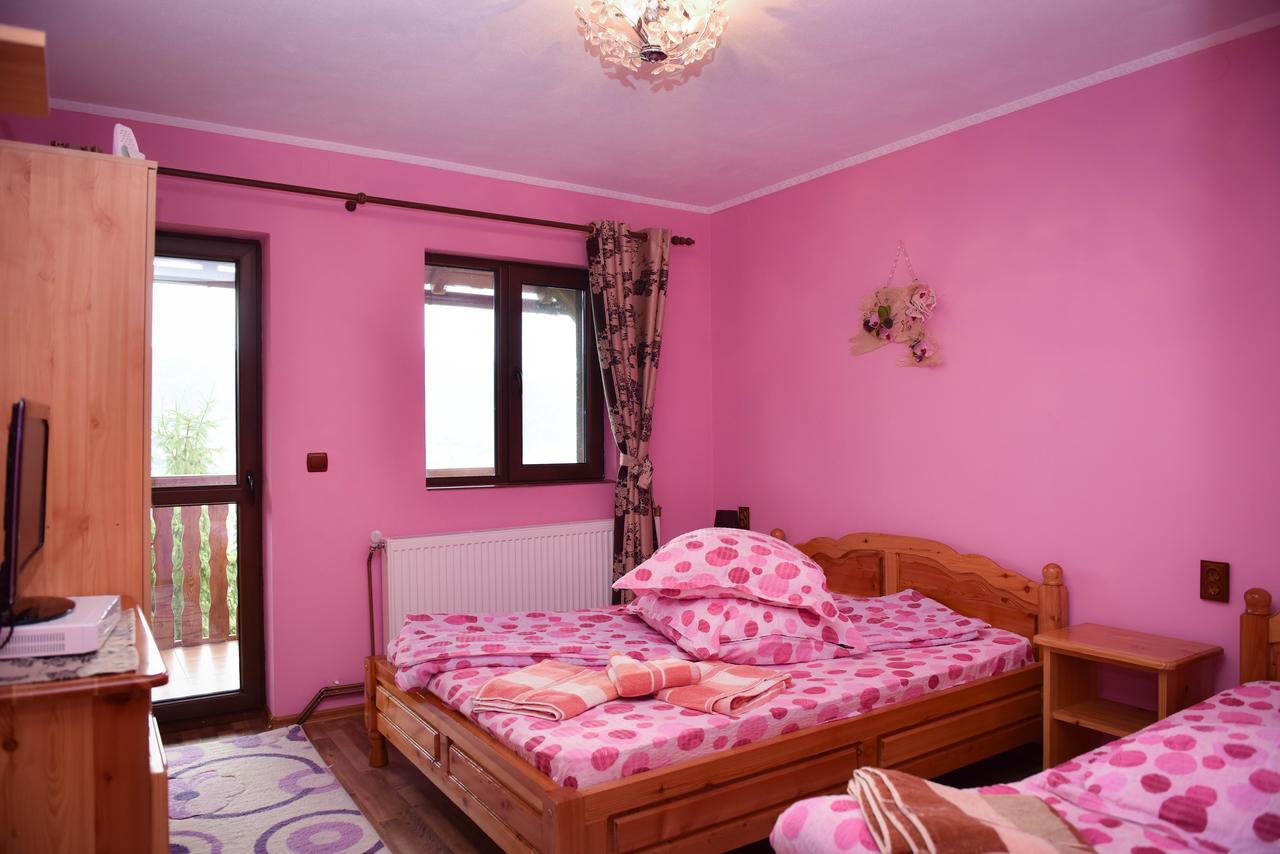 מלון Colibiţa Casa Edy מראה חיצוני תמונה